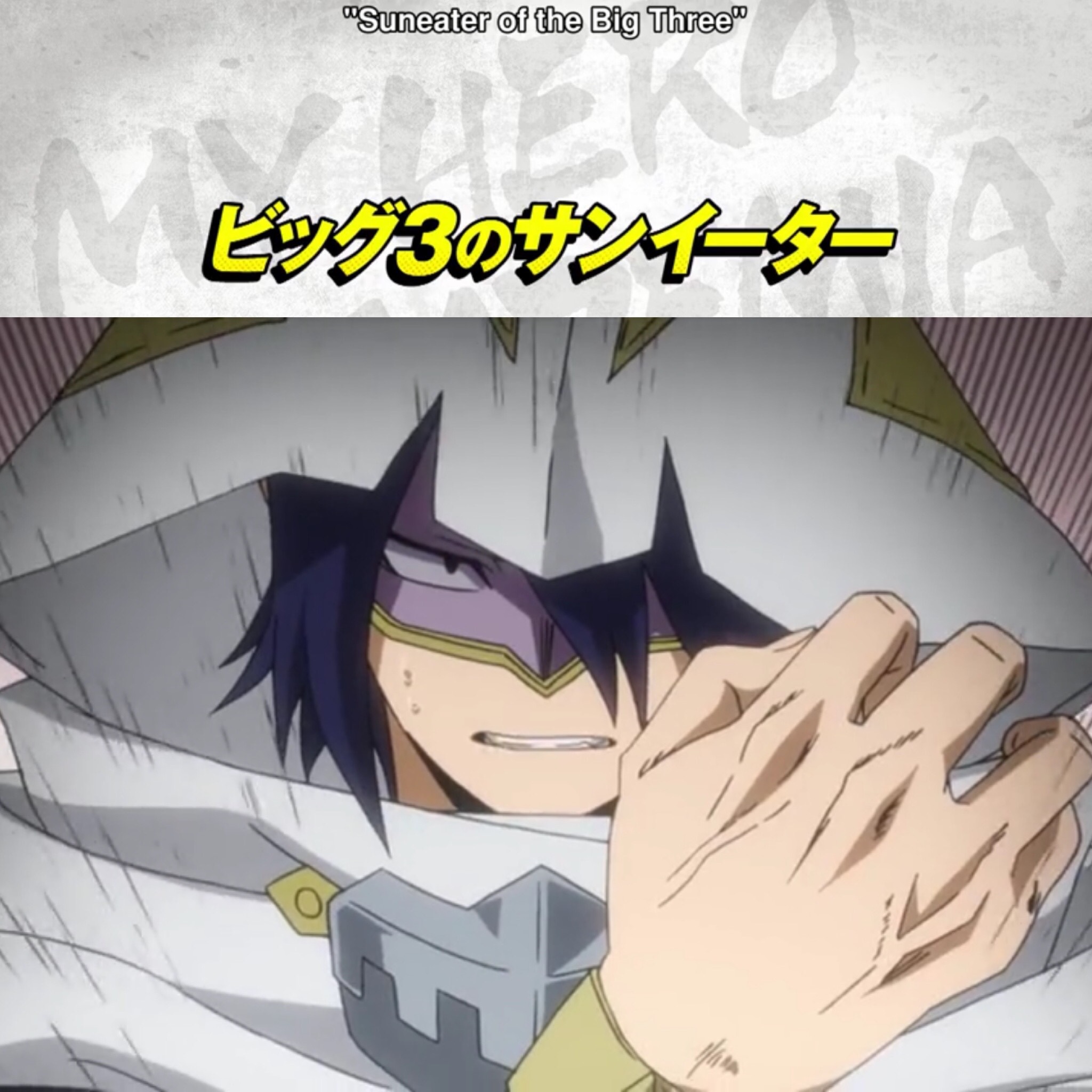 (My Hero Academia Season 4 Episode 8)