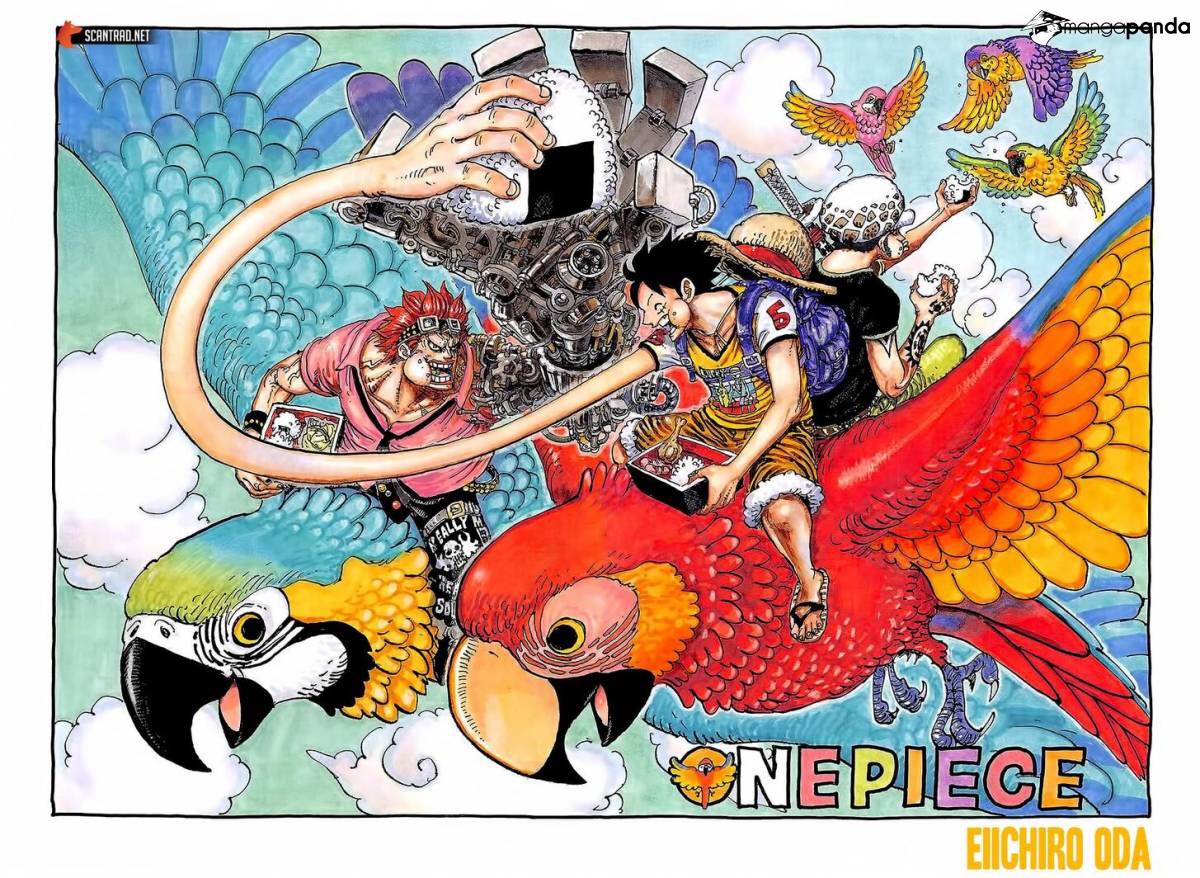 One Piece Chapter 985 Cover Page