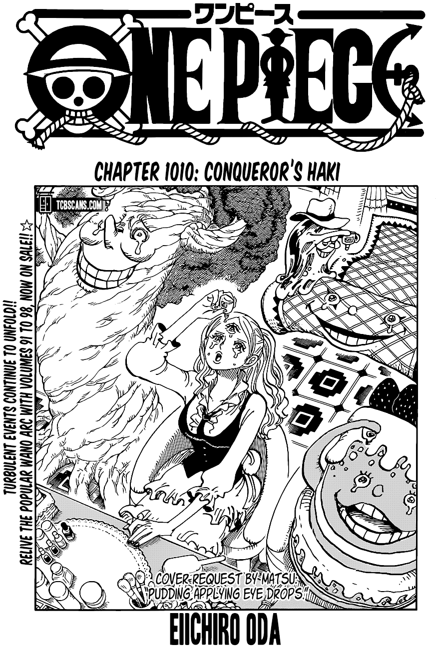 One Piece Chapter 1010 Cover Page