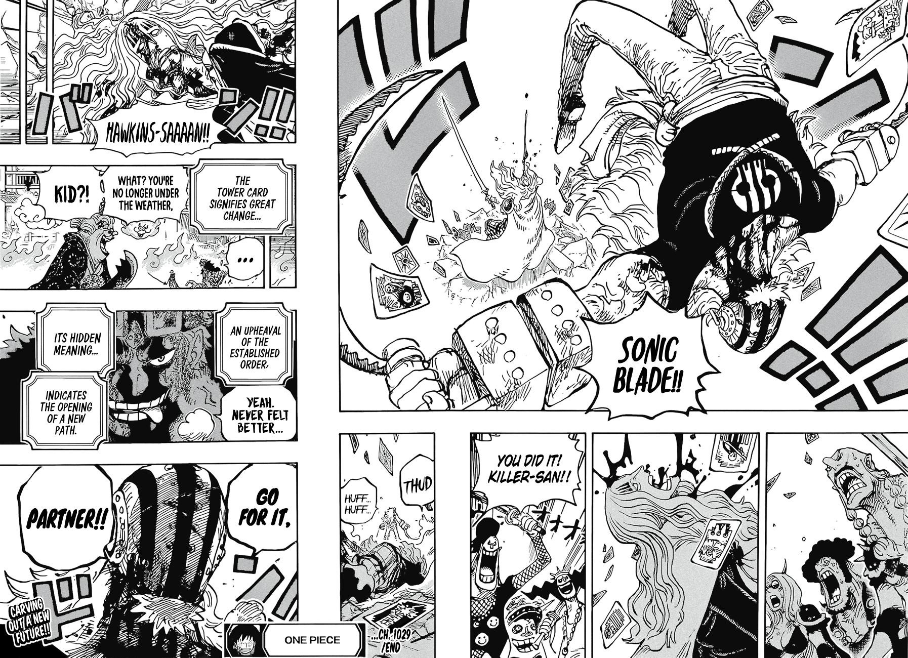 One Piece Chapter 1029-No Need to Hold Back