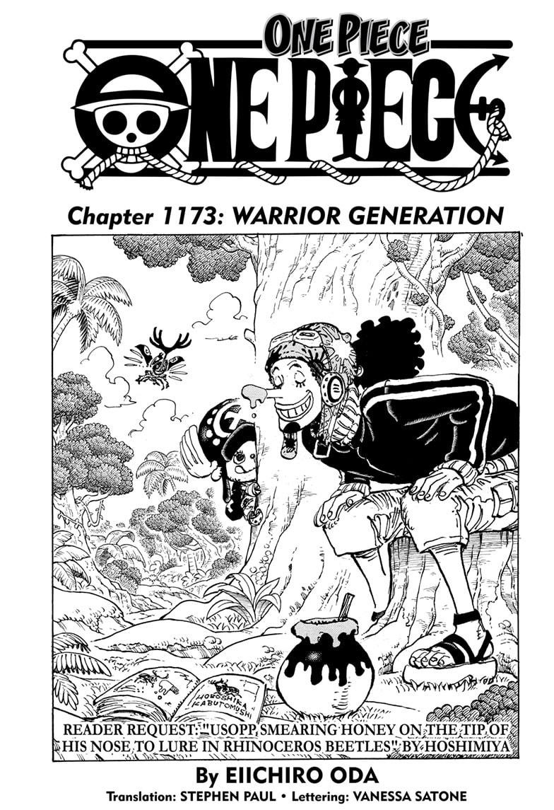 One Piece Chapter 1173 Cover
